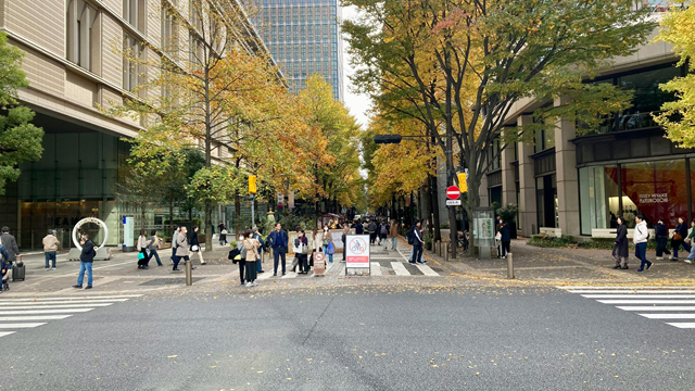 注册美国开公司|美国公司注册登记全指南:中国在美国注册公司实操步骤 注册美国开公司|美国公司注册登记全指南:中国在美国注册公司实操步骤